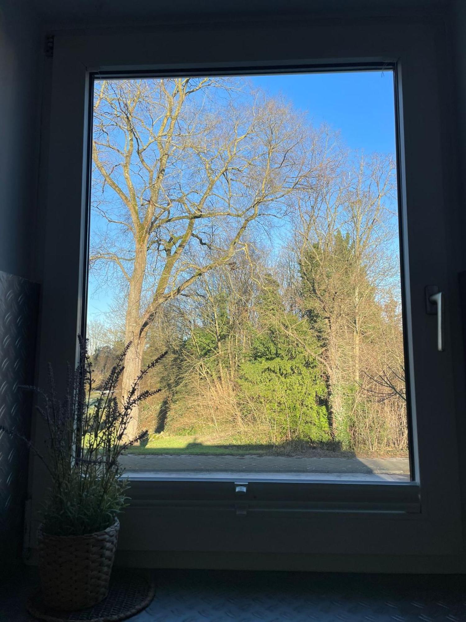 Ideale Unterkunft In Duesseldorf-Nord Düsseldorf Exterior foto